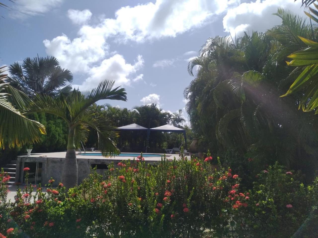 L'Aseta Paradise Grand-Bourg (Marie Galante) Exterior foto