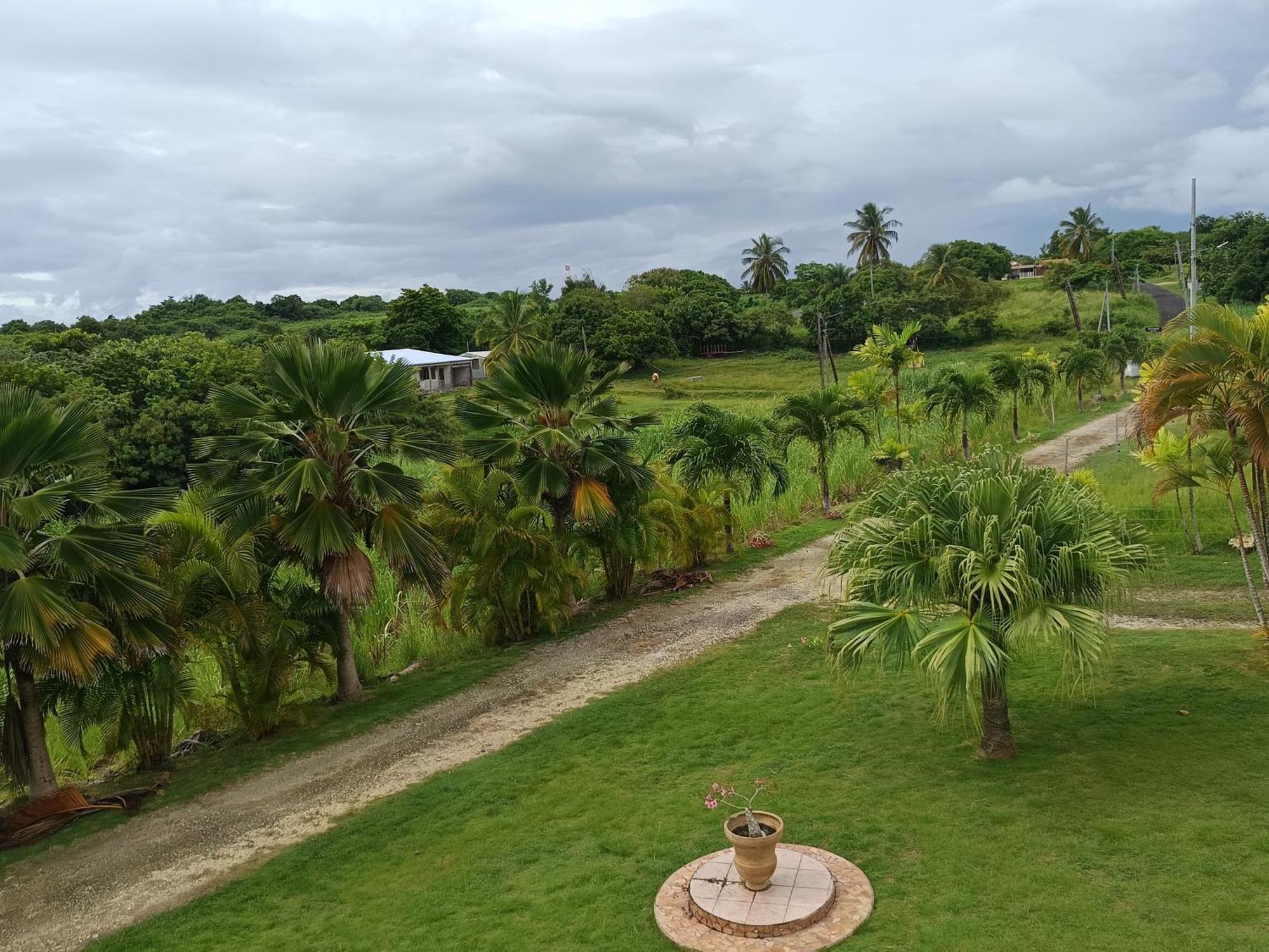 L'Aseta Paradise Grand-Bourg (Marie Galante) Exterior foto