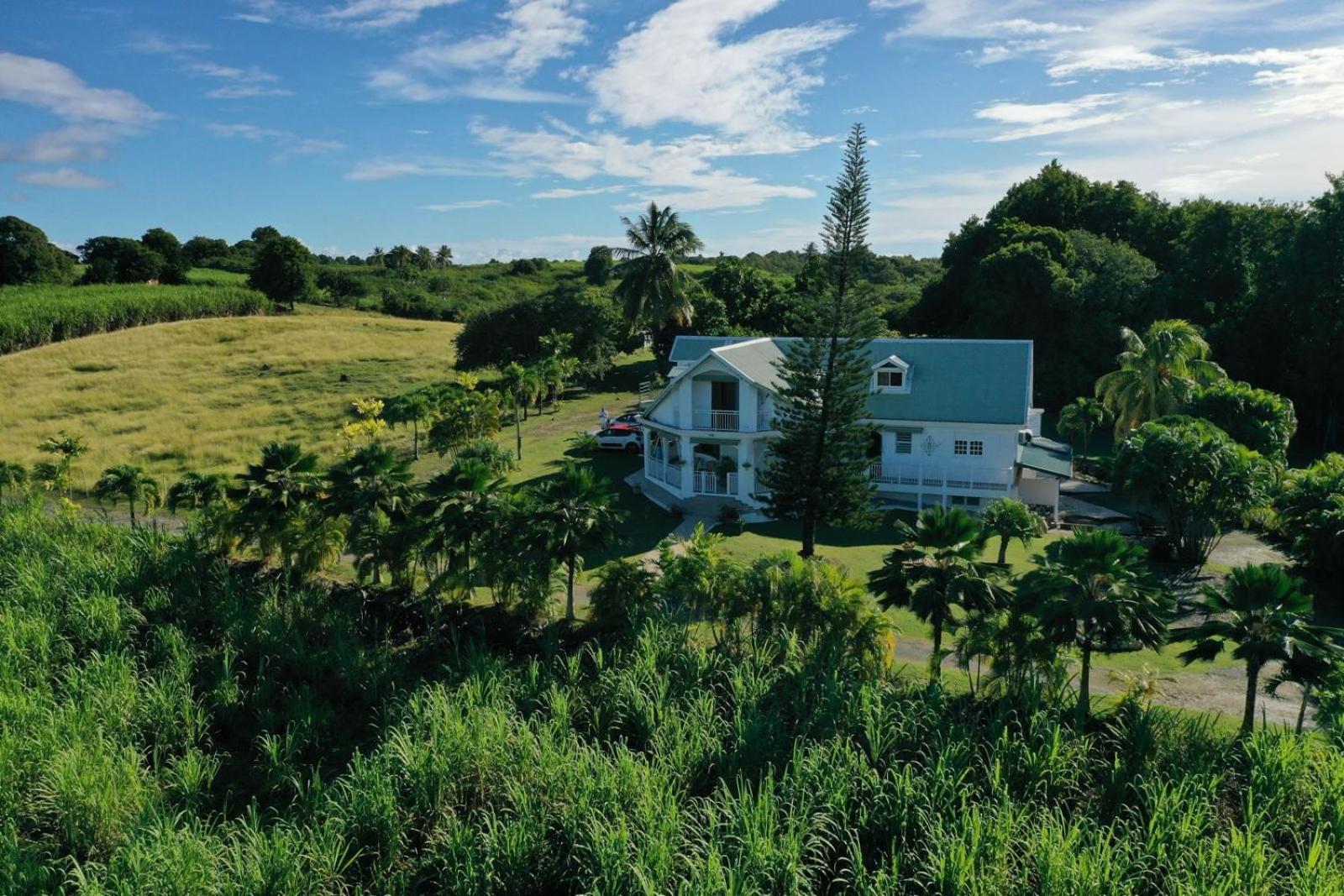 L'Aseta Paradise Grand-Bourg (Marie Galante) Exterior foto
